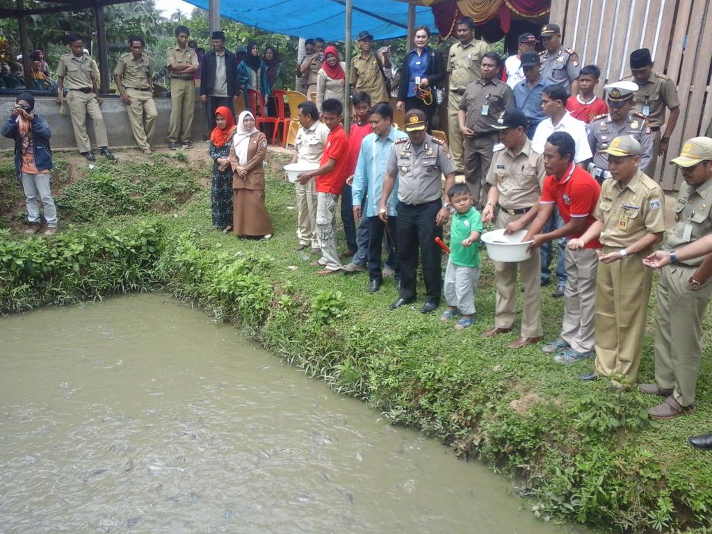 Kapolres pangkep ceklok budidaya ikan lele di kec.sigeri <a href="/dayatonya/">Mohammad Hidayat</a> <a href="/VisitPangkep/">Pangkajene & Islands</a> <a href="/Daeng_Info/">Daeng Info</a>  @MarospangkepCom