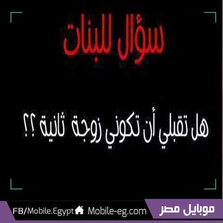 youssefhatemfa5's tweet photo. http://t.co/iPh7ElU8b8