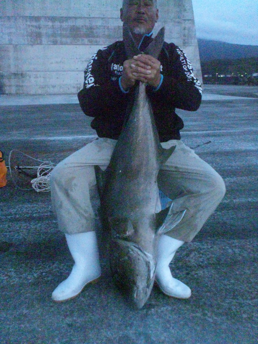 ট ইট র アサギク 八丈島のアサギクです これは昨日の釣果 八丈島の山崎 善弘様 軍艦堤防にてカンパチ１７kgを釣って来ました 全長115cmの大型カンパチ泳がせでまたやっちゃいました またまた堤防です堤防でこんな魚が Http T Co Ngrvupj566