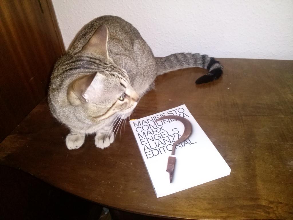 Communist Cats tweet media