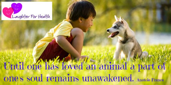 #HowToBeHappier Day 13: Owning A Pet
bit.ly/HowToBeHappier…
<a href="/UKBDirectory/">UK Business Directory</a> #Chirp #ATSocialMedia #TweetUK #UKSOPRO