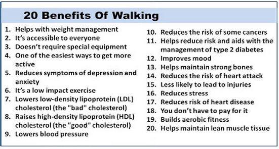 Wright Thurston On Twitter Top 20 Benefits Of Walking