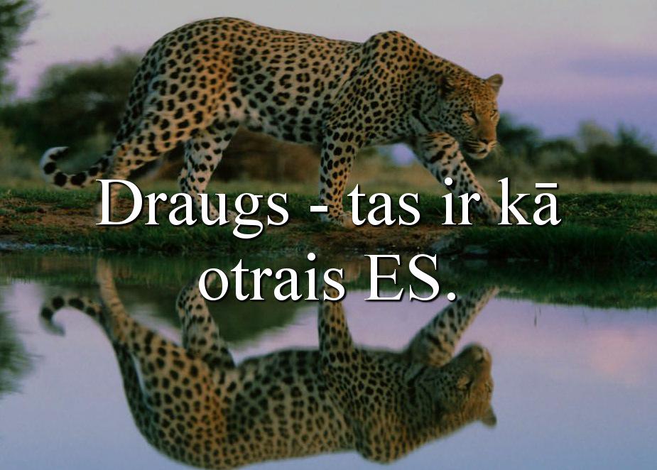 dzentlmenis's tweet photo. Draugs... http://t.co/LhlSjGEORK