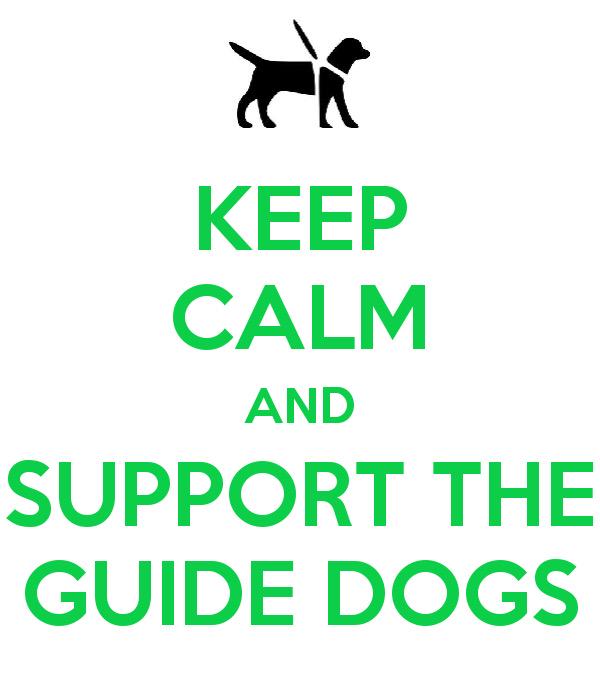 vizinhell's tweet image. Guardian angel hetty
Support dogs
Guide dogs 
Following all on tweet