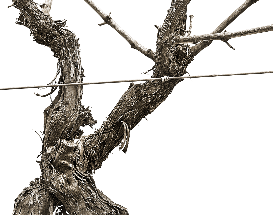 selphicks's tweet image. my new photo hanging at Inn on the @InnontheTwenty  reception Jordan ON