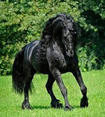 copet2020's tweet image. 