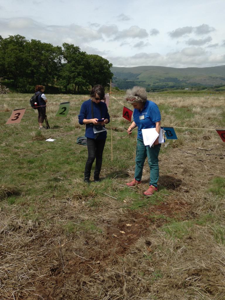 BroHyddgen's tweet image. Bl10 yn gweithio yn galed yn arbrofi apps gyda #Cobwebfp7 ac #RSPB