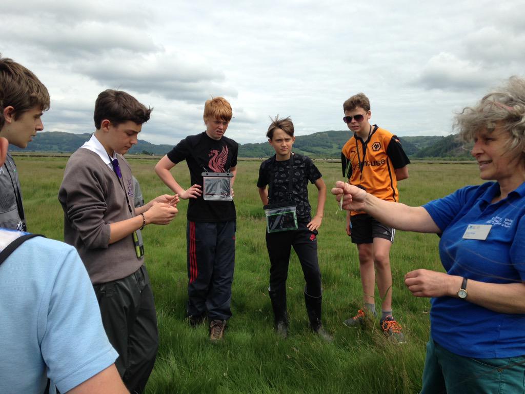 BroHyddgen's tweet image. Yr 10 working hard collecting data and testing apps for #Cobwebfp7 and #RSPB