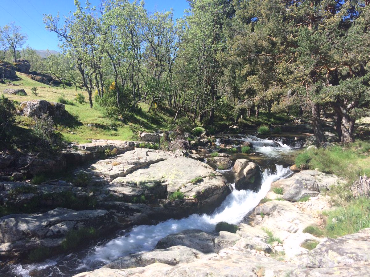 Nadia González tweet media