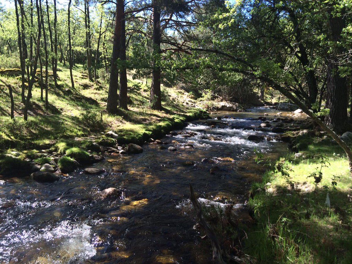 Nadia González tweet media