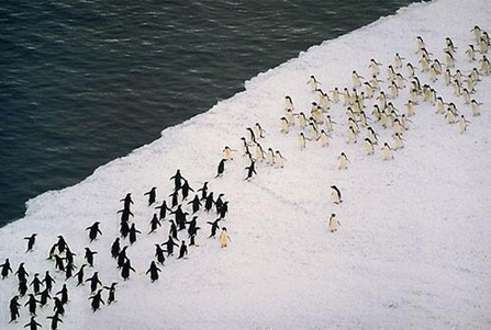RobertCater14's tweet photo. "@FootballFunnys: North Pole at South Pole away http://t.co/Zh6CVqE4na" @Gjvv20