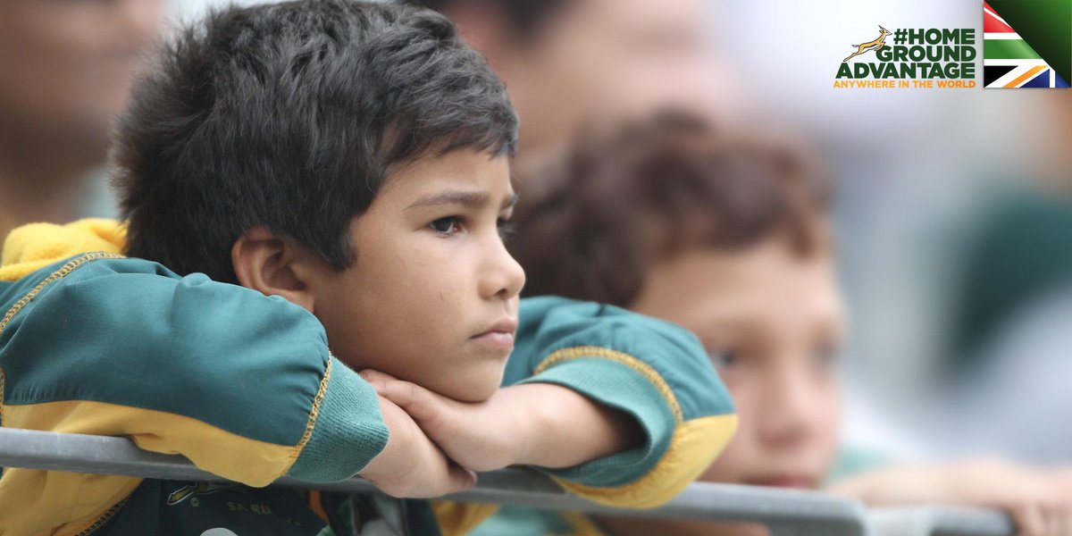 Springboks tweet media