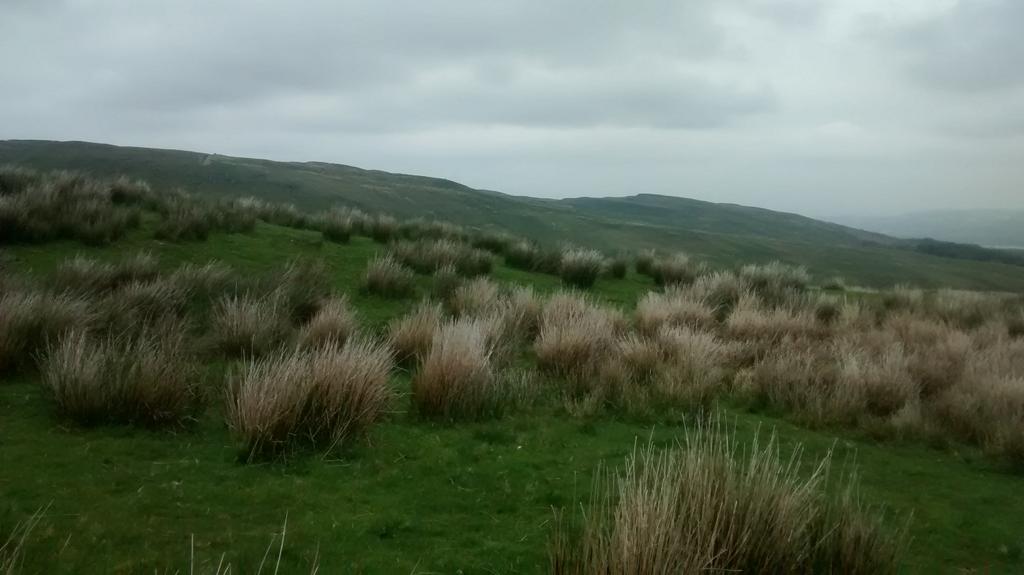 Victoria Kyle tweet media