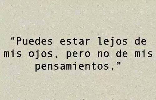 roditoolave's tweet image. 