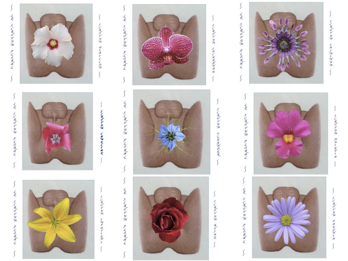 DZIALDOV's tweet photo. "MALFUNCTION"
OPENING 26 JUNE 7–10pm http://t.co/iK88EDwYr8