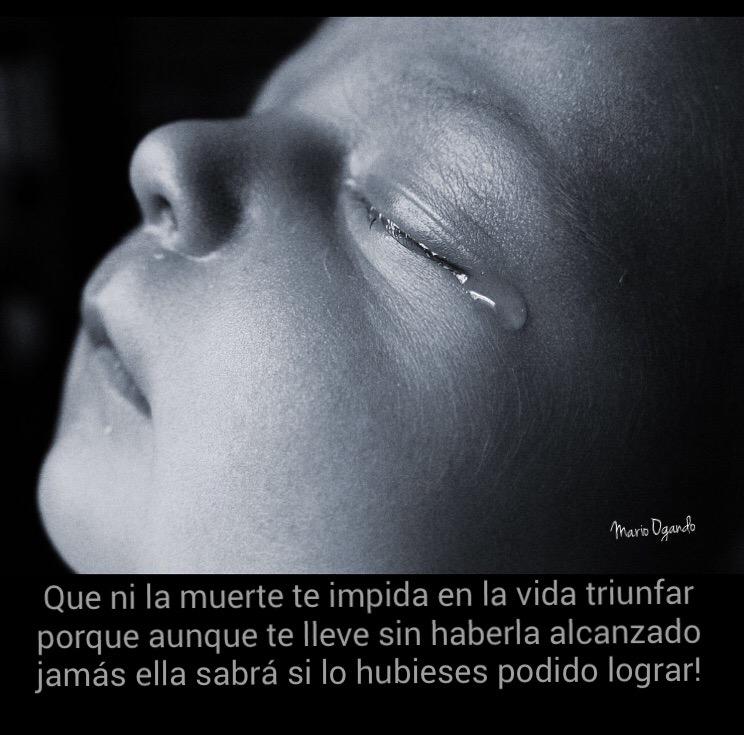mariO_Ogando's tweet photo. #ABCMario #melodijoMario #Twitter #poesitivo #poegala #suspiritos #InmortalSentir #tuiteros #trabamentes http://t.co/0haBD0MymA