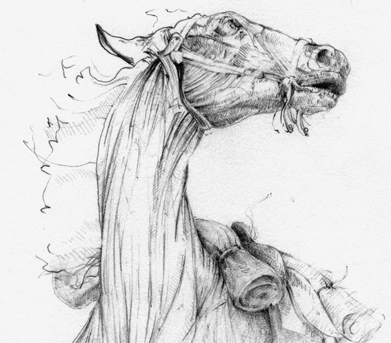 COCOB Band Milwaukee tweet media