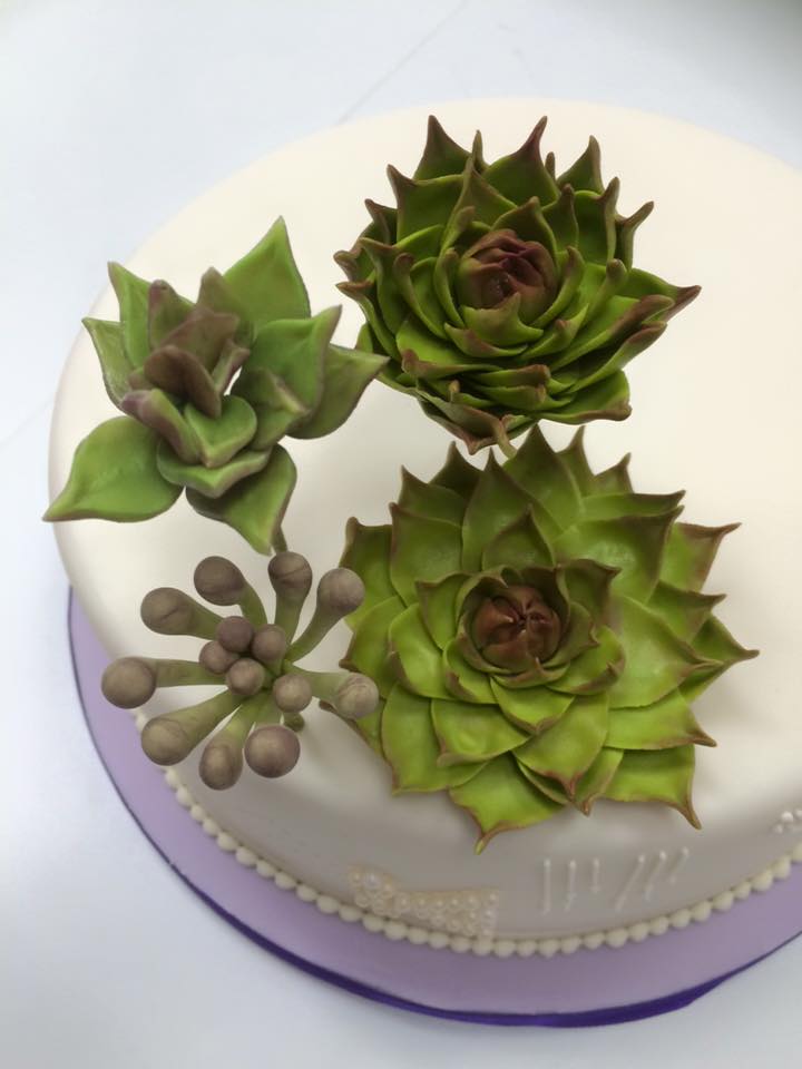 CakeSchoolHB's tweet photo. Succulents Weds 24th June 9:30am-12noon #hernebay #cakecourse Book here: https://t.co/LtR6jYp1aR or instore! http://t.co/tVoCZ4iW7W