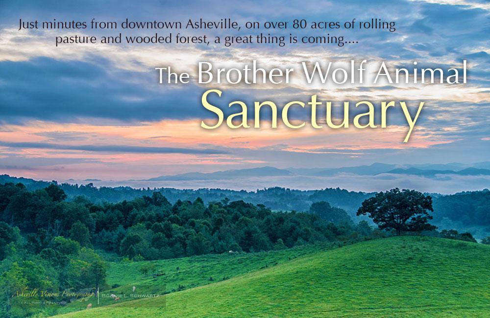 RisingCommons's tweet image. @IMKristenBell @BrotherWolfAR needs your vote. Only 14 hours left. #rescuedog #endpuppymills  shoeloverscare.com