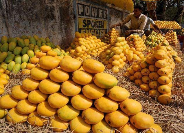 wishrajpoot's tweet photo. KING OF FRUITS: There are 450 varieties of mango in south asia.
#Sindhri
#Chaunsa
#AnwarRatool http://t.co/qy5Io1VsEA