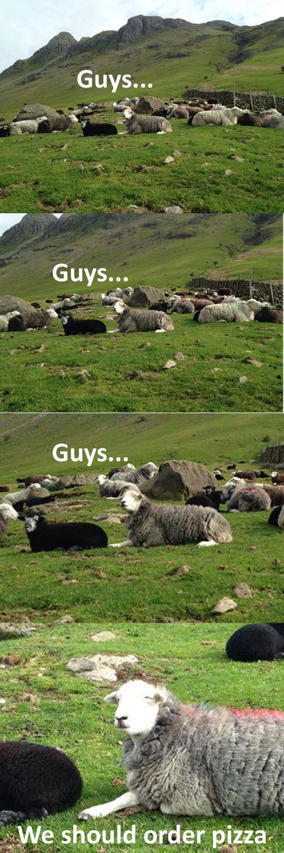 #herdy #langdale #nirvana #happyherdwick #pizza #sticklebarn #ODG #unlikelymemes