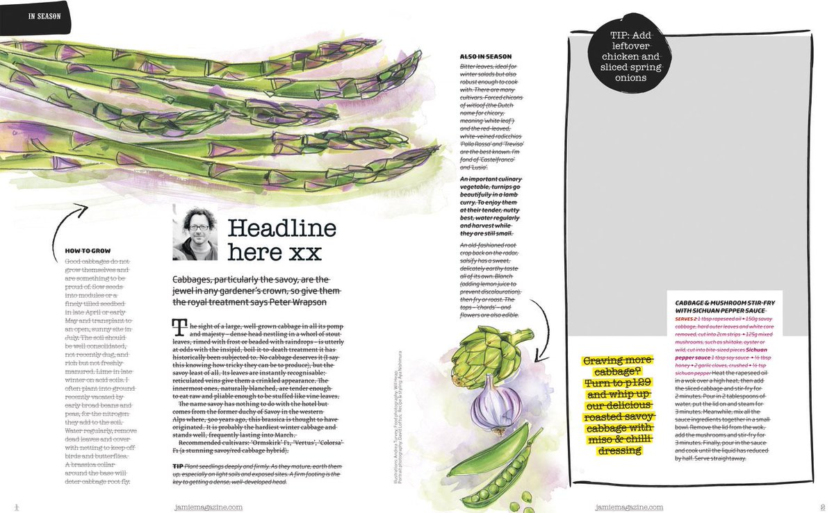 ARTurvey's tweet photo. Latest foodie illos for Jamie Magazine http://t.co/yhZKdrTSCu