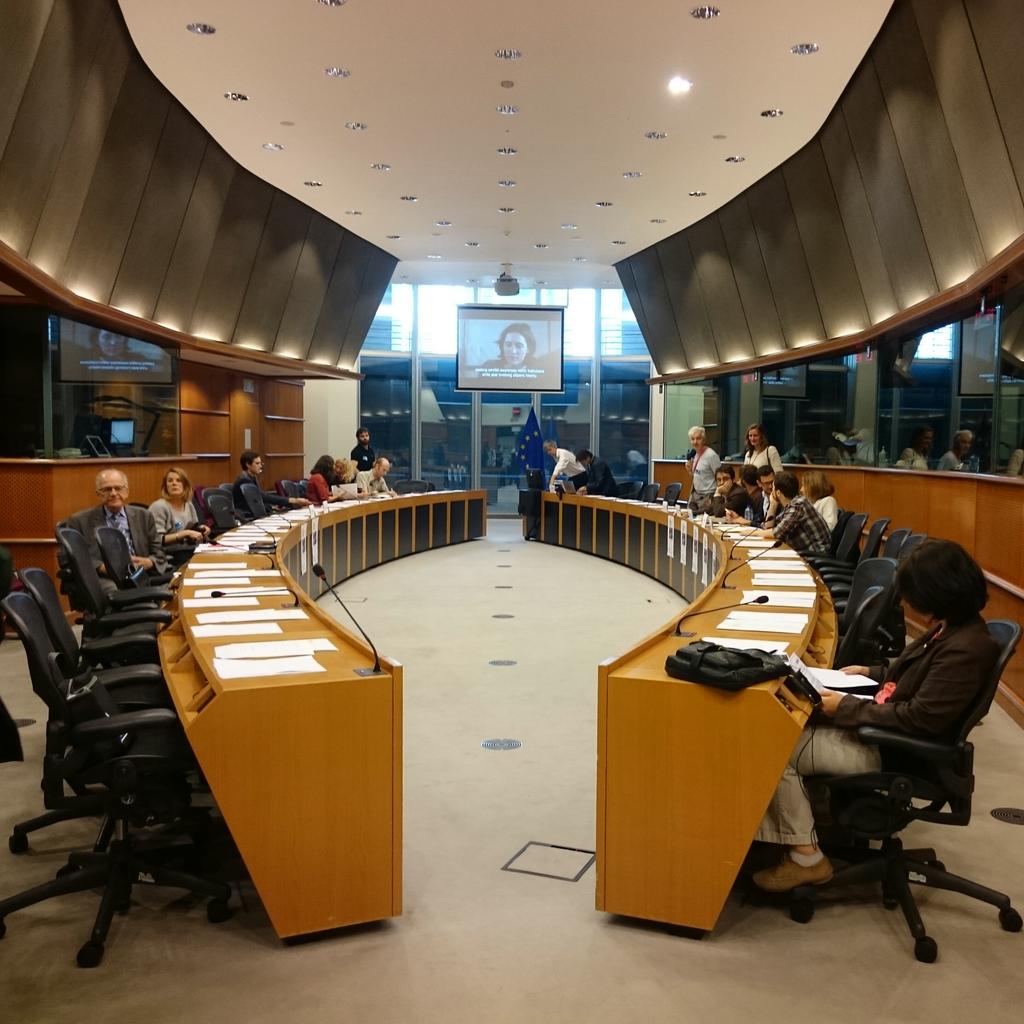 no_pumo's tweet photo. Our campaign #nopumo is presented today in the European Parliament http://t.co/NF5KUhYMGs #ReclaimtheCommons #housingcrisis