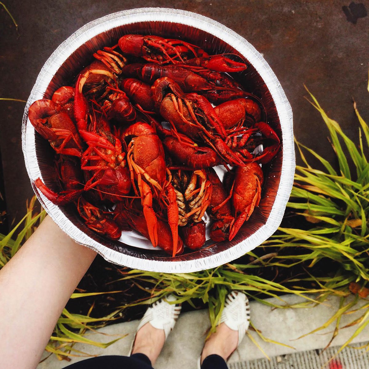 LoveSpringfield tweet media