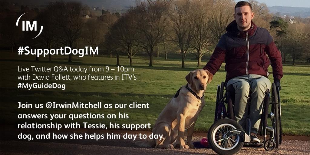 irwinmitchell's tweet photo. What are your questions for David? Join us after #MyGuideDog on @ITV tonight for David's answers! #SupportDogIM http://t.co/lnRcy1GQtK
