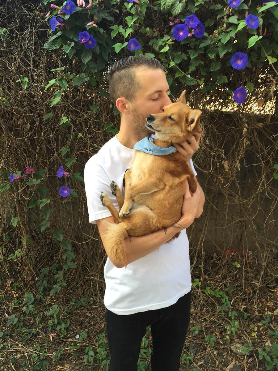 #ThreeWordsSheWantsToHear: I love dogs.