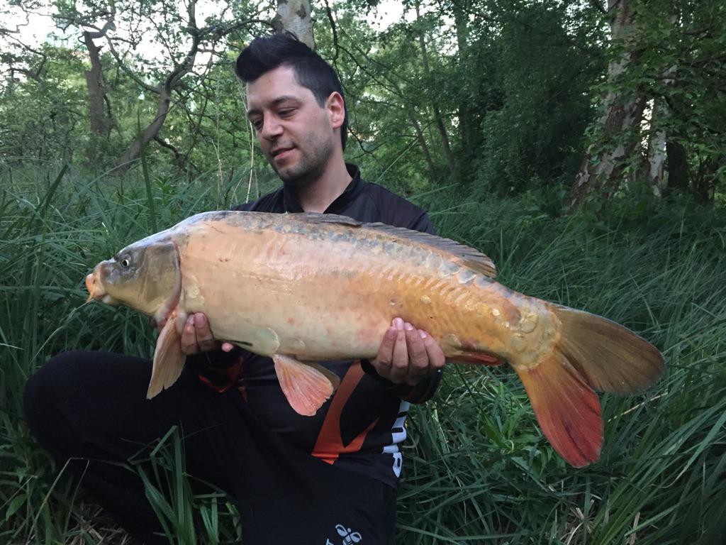 ProFishingStore's tweet photo. En fin 7kg ghostkarpe:
http://t.co/YxtqrSx2t6
#karpefiskeri #profishingstore #bobipopovic #karpe #fangst http://t.co/1pZOwlXr1z