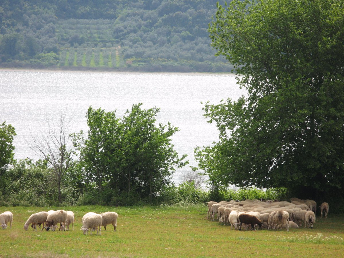 Innovability tweet media