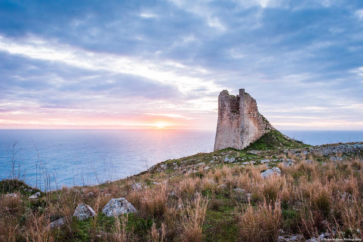 Innovability tweet media