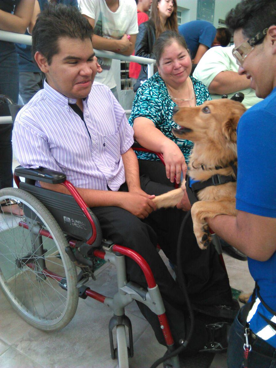 la interactivo no verbal entre el perro y el paciente beneficia las habilidades a nivel físico on.fb.me/1QBmLag