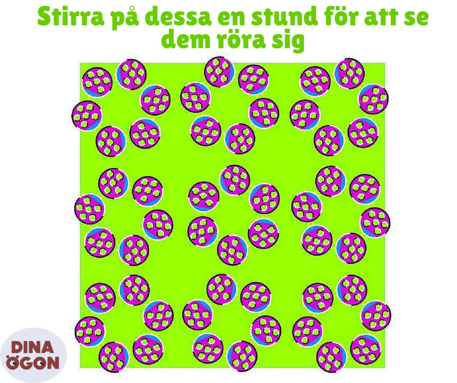 Dina Ögon (@dinaogon) on Twitter photo 