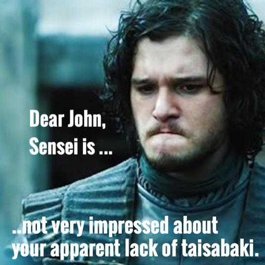TriniLostInLon's tweet photo. An Aikido Instructors take on the #GOT ending scene....😮😳😶😠 http://t.co/8EloH2pjbb