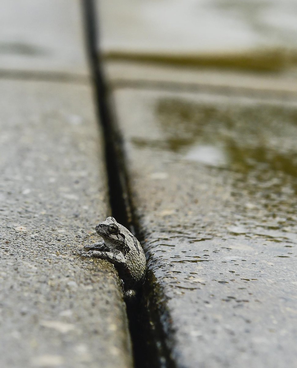 Check out this little guy in Waldo enjoying this weeks summer showers