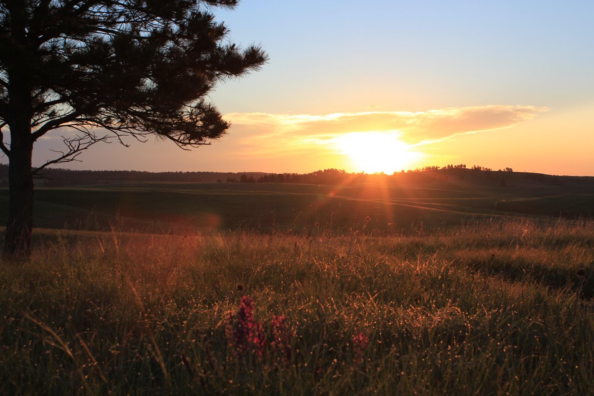 SharonHolte's tweet photo. Morning sunrise at Wind Cave National Park. Best way to start the day. #cavebison @NatlParkService http://t.co/basV3LDqON