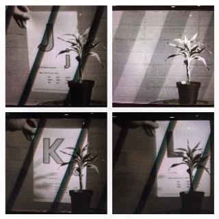 17 6 1931 Happy Birthday Mr John Baldessari grande artista concettuale americano (con origini trentine) 