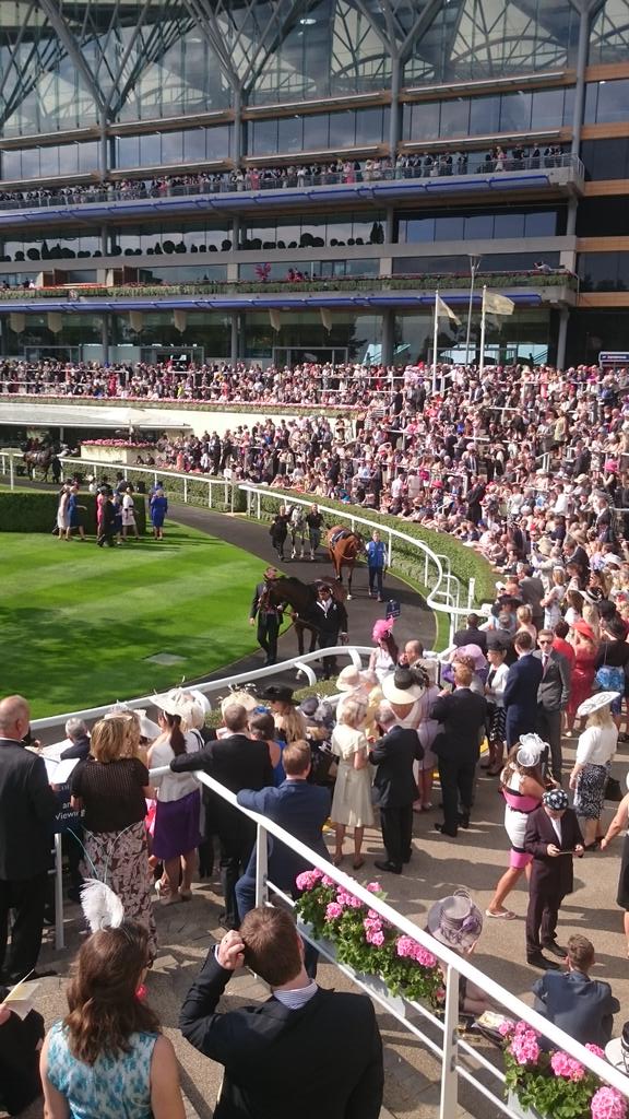 Royal Ascot 2015. CHovvxaWEAIFjYL