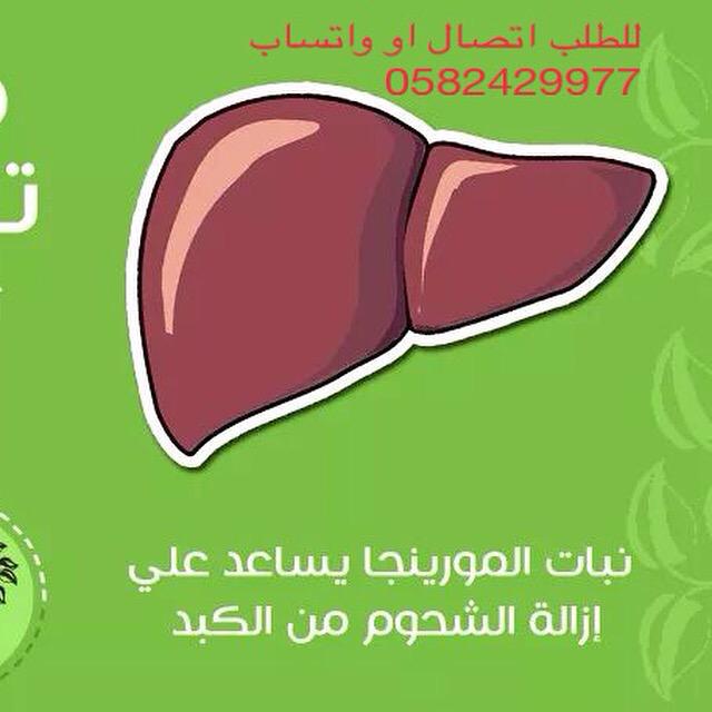 moringakf's tweet photo. المورينجا مفيده جداً لامراض #الكبد

#مورينجا #مورينجا_كاليفورنيا #المورينجا

#moringa http://t.co/PBsB7gNTvM