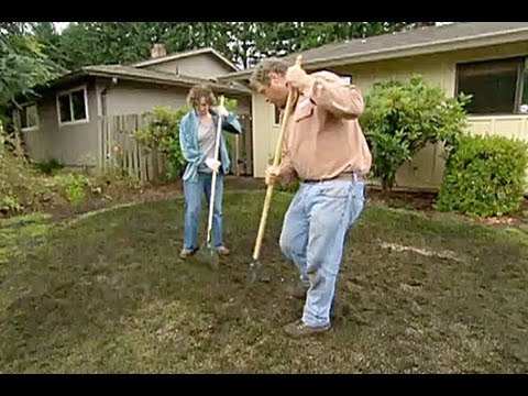 Picture_Windows's tweet image. How to Rejuvenate a Lawn - This Old House vid.staged.com/01Kp #picture #vinyl
