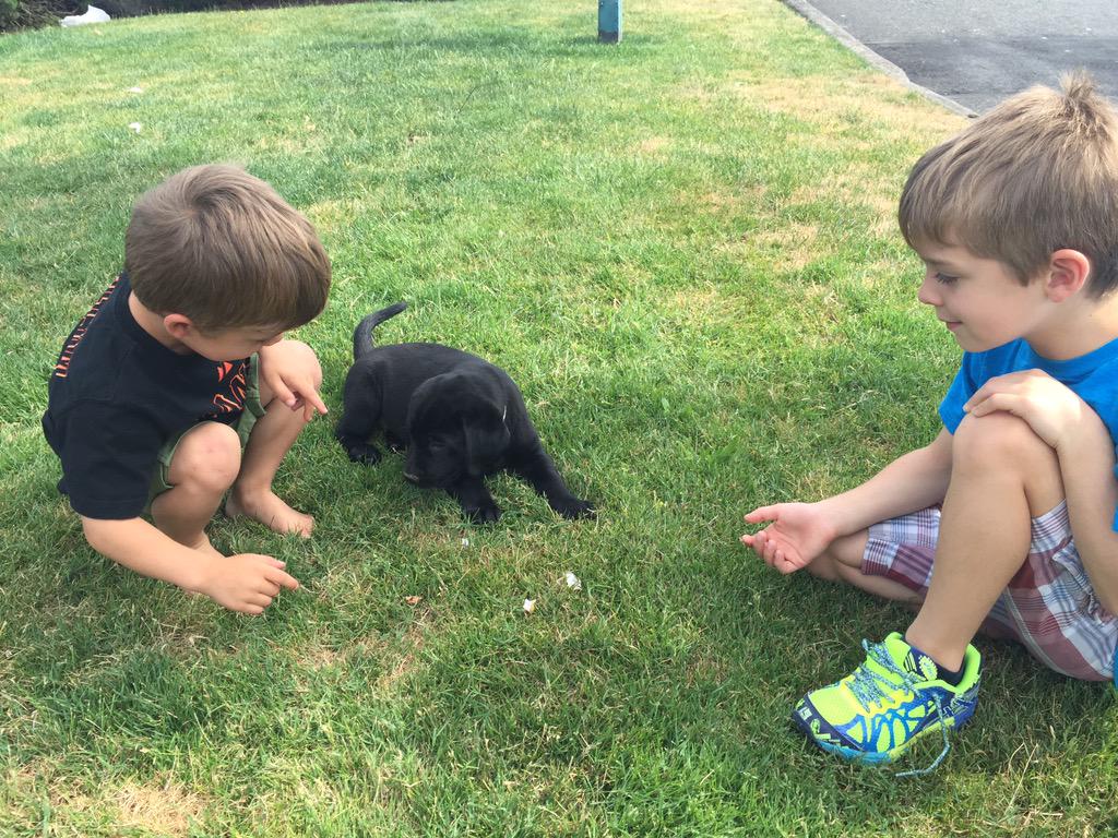 evanwyman's tweet photo. Welcome the newest addition to the Wyman family. Rocco joined us yesterday! http://t.co/sPvOc8b0Tm