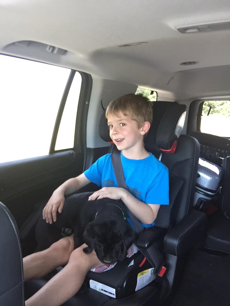 evanwyman's tweet photo. Welcome the newest addition to the Wyman family. Rocco joined us yesterday! http://t.co/sPvOc8b0Tm