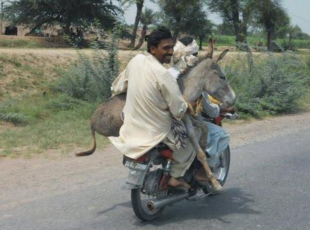 AtulTyagi's tweet image. Rajdeep carrying Arnab after winning the TRP war in #ModitoRajdeep VS #Lalitgate