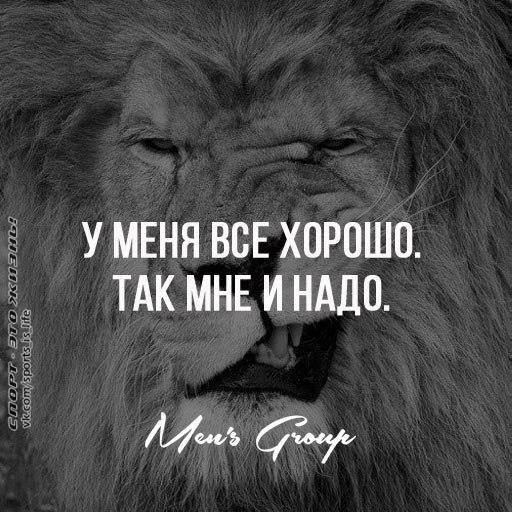 Приколы, картинки у меня все хорошо мне нечем вас порадовать