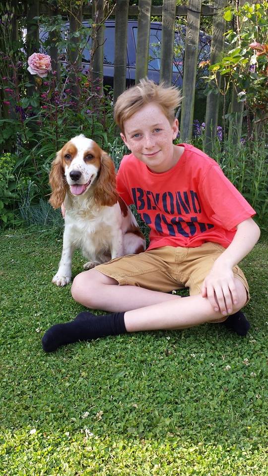 _WCSR's tweet photo. Darcey, now Daisy is doing well in her forever home! http://t.co/6UQOeQQPoO