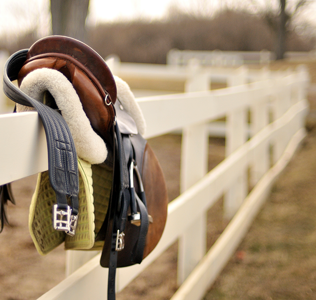 geeHorse's tweet photo. Equine Professions For Those Obsessed With Horses

http://t.co/7aSsWJQDnX

#horselove http://t.co/lyKr7MfduH