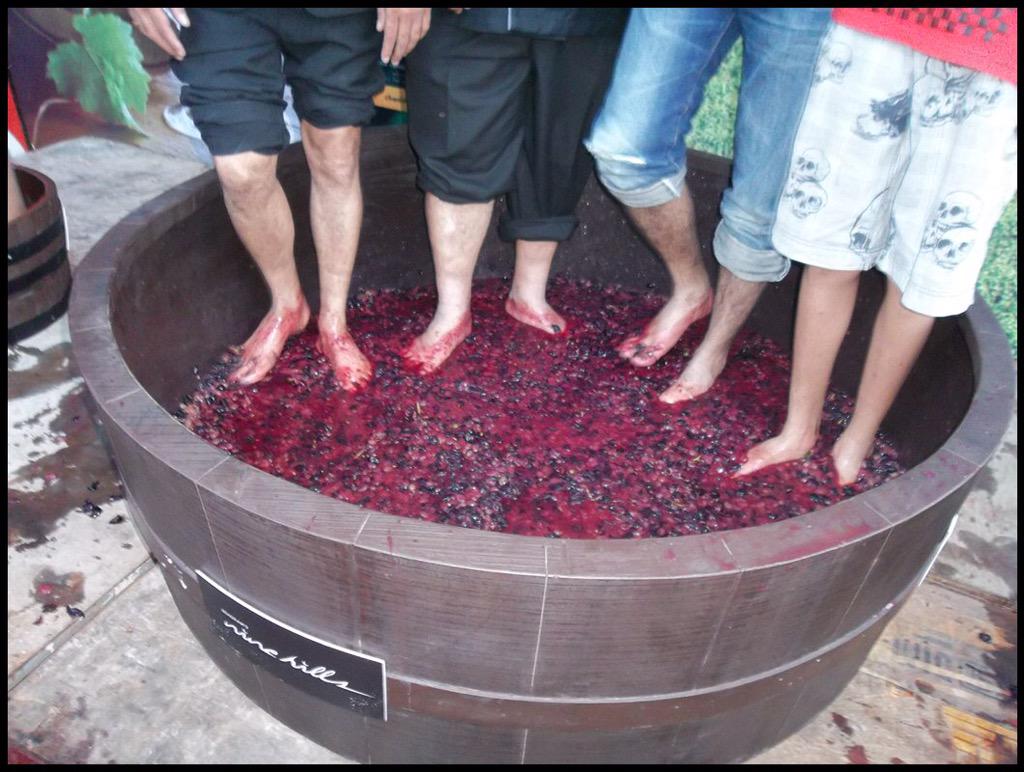 winewankers's tweet image. What did the grape say when it was crushed?  Nothing, it just let out a little #wine...  #winelover  RT @TheWineGuys1