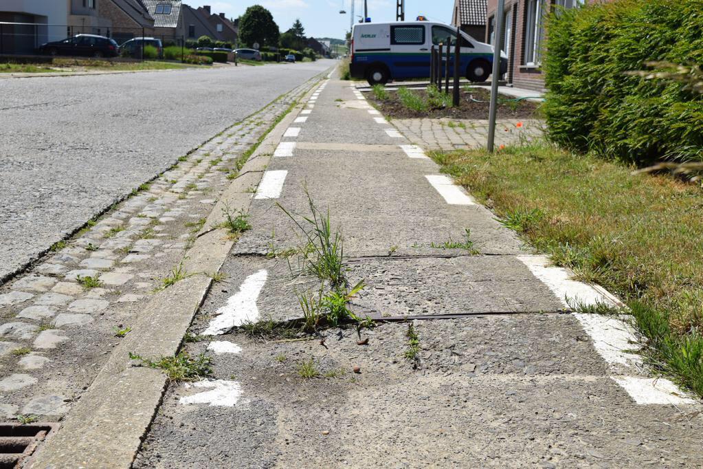 Kunnen we hier aub iets aan doen in Belgie!
Het komt jammer genoeg veel te vaak voor!